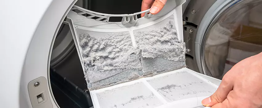 Best Dryer Lint Removal Company in North Plainfield, New Jersey