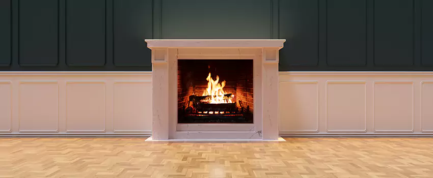 Napoleon Electric Fireplaces Inspection Service in North Plainfield, New Jersey