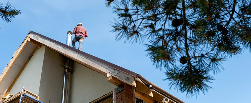 Birds Removal Contractors from Chimney in North Plainfield, NJ